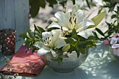 Silberne Schale mit weißen Blüten von Lilium (Lilie) und Minze (Mentha)