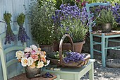 Kräuter - Terrasse mit Lavendel 'Hidcote Blue' (Lavandula)