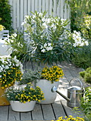 Weiß-gelbe Terrasse mit Oleander