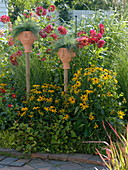 Summer bed with perennials and dahlias