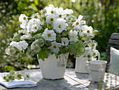 Green-white summer bouquet, Cosmos (daisies), Ammi majus