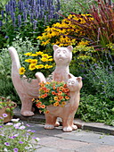 Terracotta Cats planted with Gazania and Calibrachoa