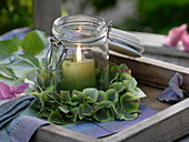 Lidded glass as lantern with small wreath of Hydrangea (hydrangea)