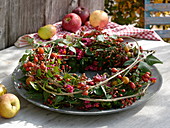 Spiral wreath of clematis, hedera (ivy), pink (rosehip)