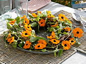 Wreath made of twigs with tendrils of Thunbergia alata