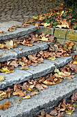 Steintreppe mit Herbstlaub