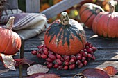 Pumpkin in a rosehip wreath