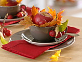 Tischdekoration mit Apfel und Zieräpfeln (Malus), Blätter von Acer