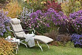 Lounger at the autumn bed with asters and grasses