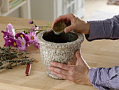 Arrangement with decorative baskets and lichen-covered twigs (2/5)