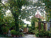 Artist's garden: Terrace under the walnut tree