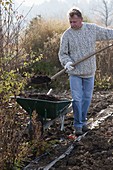 Man spreading compost in the garden