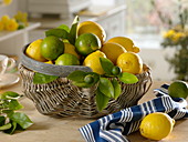 Basket with lemons (Citrus limon), limes (Citrus aurantifolia)