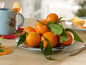 Mandarinen (Citrus reticulata) mit Blättern