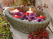 Elongated bowl with Chrysanthemum (Chrysanthemum flowers)