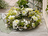 Spiral wreath made of clematis tendrils and leaves of miscanthus