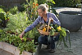 Create trapeze beds as a vegetable and herb garden