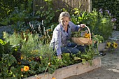 Create trapeze beds as a vegetable and herb garden