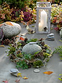 Wreath of clematis, hedera, lichen-covered branches