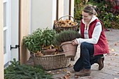 Frau stellt Kräuter zur Überwinterung in Korb mit Herbstlaub
