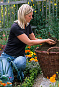Junge Frau prüft Kompost (oder Erde)