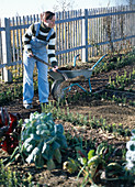 Spreading compost in the cottage garden in autumn