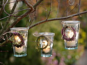 Small glasses hung on a tree as lanterns