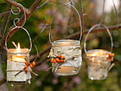 Small glasses as lanterns hung on a tree