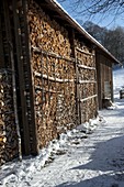 Gefüllter Holzschuppen im Winter