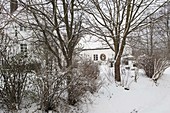 Snowy trees and shrubs in the garden