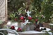 Christmas arrangement with Ilex (holly), Pinus (pine)