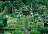 Formaler Garten eingefaßt mit Buxus sempervirens / Buchs und Rose 'Constance Spry' als Rosenbogen über der Bank, Vogeltränke
