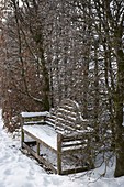 Snowy wooden bench in niche of Carpinus hedge