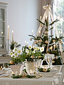 Christmas table decoration with Christmas roses