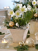 Weihnachtliche Christrosen - Tischdeko