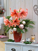 Christmas Amaryllis bouquet, Hippeastrum in salmon orange