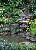 Kleiner Bachlauf über Natursteine, Primula japonica / Japanprimeln,