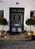 House entrance autumnal: Laurus (laurel trees)
