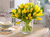 Tulipa 'Strong Gold' (tulip) in a wide glass vase