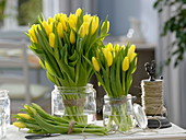 Tulipa 'Strong Gold' (tulips) as standing bouquet in preserving jars