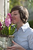 Woman enjoying the scent of Hyacinthus hybrid (Hyacinths) and Muscari