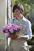 Woman with Rhododendron simsii (indoor azalea) in clay pot