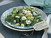Spring cure with wild herbs