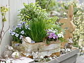 Herbs and edible flowers in the basket