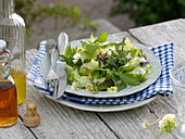 Salad with wild herbs: Bellis (daisy), Primula (cowslip).