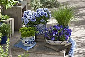 Vessels with herbs and edible flowers