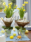 Ostrich eggs in wicker baskets, put in pots of birch bark