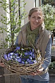 Basket of dried clematis tendrils