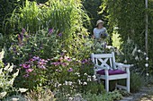 Bed with Buddleia Buzz 'Ivory', 'Pink Purple' (summer lilac), Echinacea