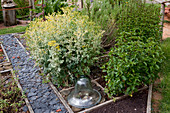 Herb bed with peppermint (Mentha piperita) and rue 'Variegata' (Ruta graveolens), glass bell, path with slate pieces